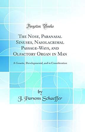 Buy The Nose, Paranasal Sinuses, Nasolacrimal Passage-Ways, and ...