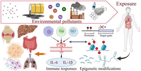 Immune–Epigenetic Effects of Environmental Pollutants: Mechanisms ...