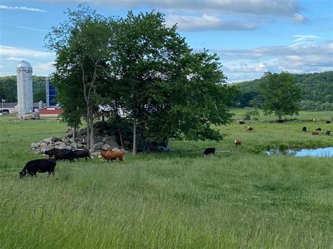 The Farmers Market at Tiffany Farms, 156 Sterling City Rd., Lyme, CT ...