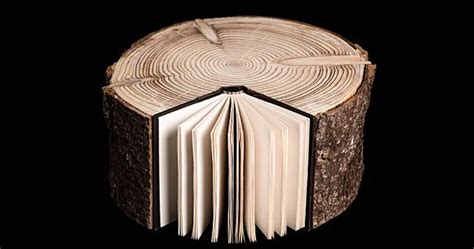 Tree to Paper Process 的图像结果