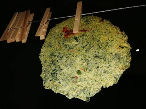 EDIBLE PAPER EXPERIMENTS - PEER2PICKLE