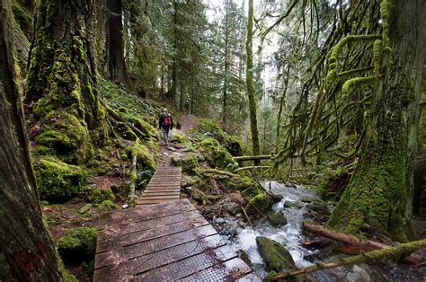 Best Hiking Trails Victoria Bc at Natalie Hawes blog