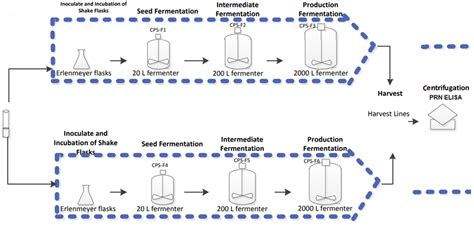 Vaccine Process 的图像结果