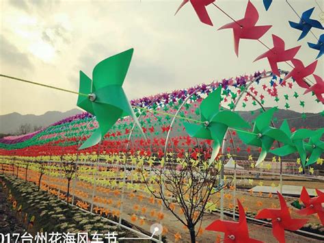 台州花海七彩风车节，今年赏春踏游绝不能错过地方