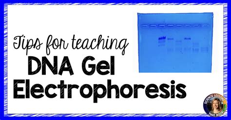DNA Fingerprinting Examples 的图像结果