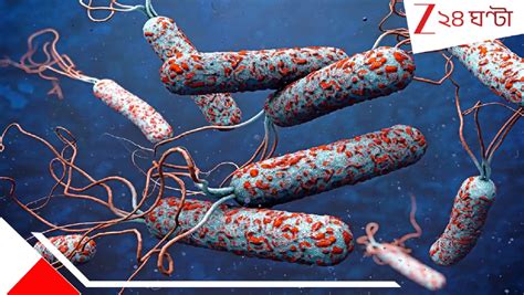Deadly Cholera: ভয়ানক! আক্রান্ত শতাধিক! বমি ও পেটের যন্ত্রণা নিয়ে ...