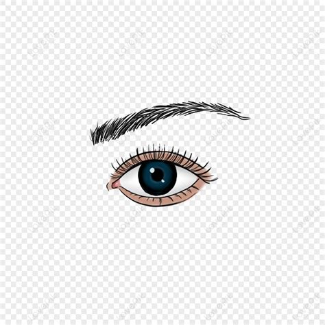 Realistic Blue Eyes Eyebrows,close-up,eyelashes,eyelash PNG Image And ...