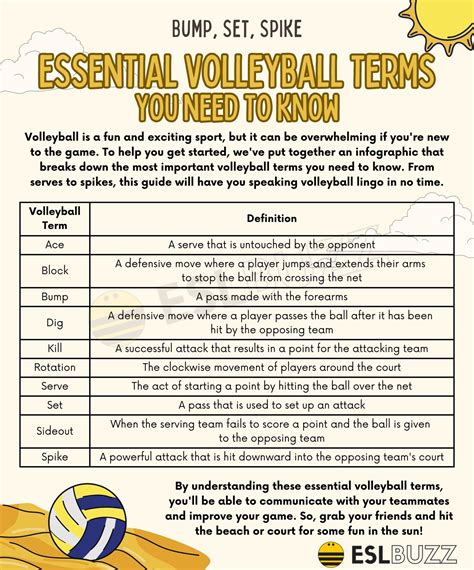 The Essential Glossary Of Volleyball Terms For Every Player