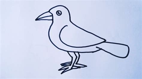 Image result for Crow Drawing Tutorial