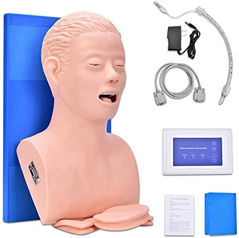 Buy Anatomy Manikin Teaching Model, Intubation Oral Nasal Airway ...