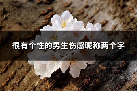 很有个性的男生伤感昵称两个字(优选703个)-淘名吧网