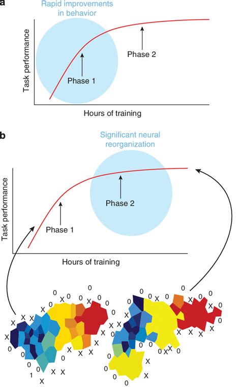 Image result for Promote Skill First Learning