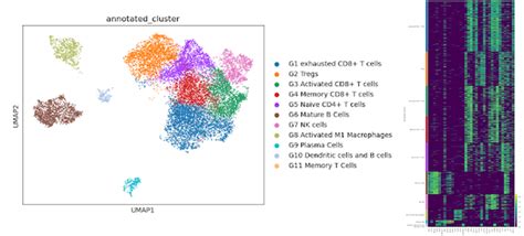 Single Cell Analysis Free Software 的图像结果