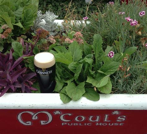 M'Coul's Public House