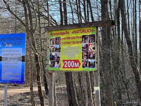 Приехал заценить туристический зоопарк «Натюрлих» и немецкий комплекс в ...