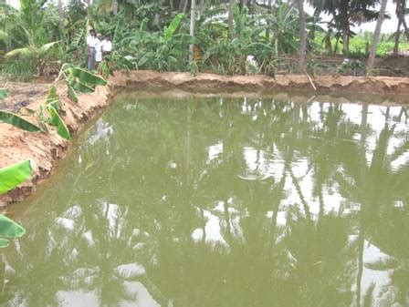 Major Areas :: IFS :: Farming System Research