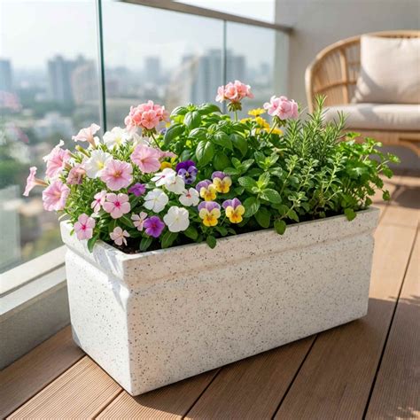 Roto Moulded Lectus Rectangular Pot-20 – Organicbazar