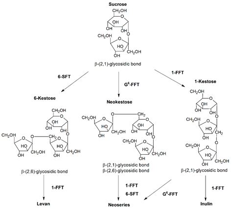 Two-Step Production of Neofructo-Oligosaccharides Using Immobilized ...