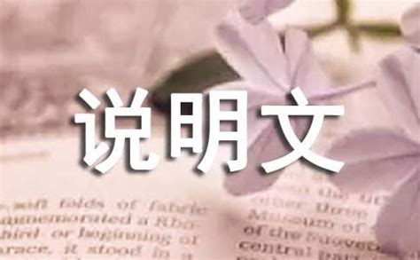 五年级说明文作文400字左右【七篇】