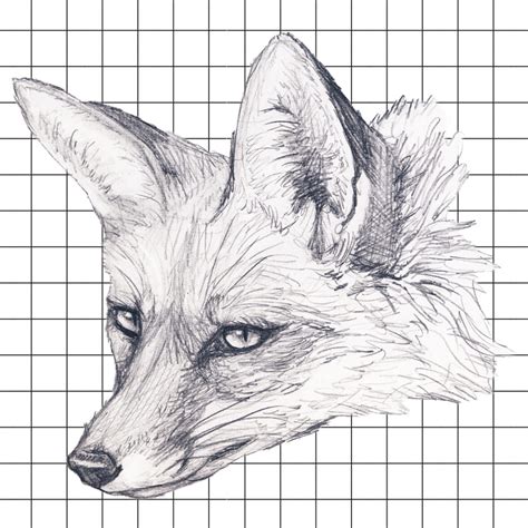 Image result for Drawing Tutorials Shoes