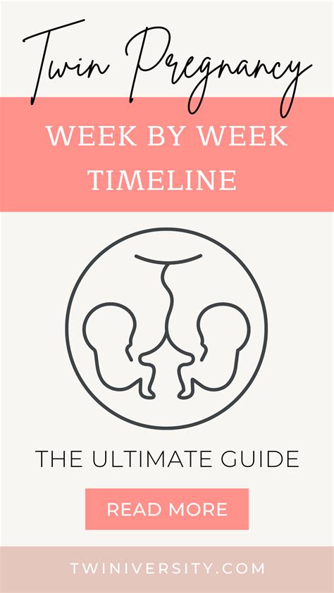 Twin pregnancy week by week timeline – Artofit