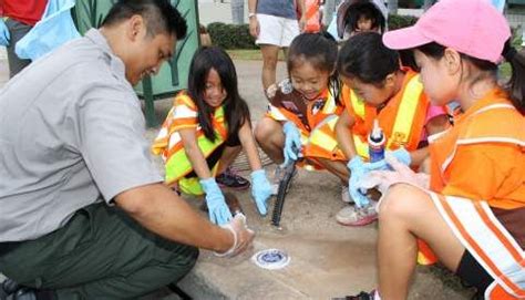 Environmental Project Ideas 的图像结果