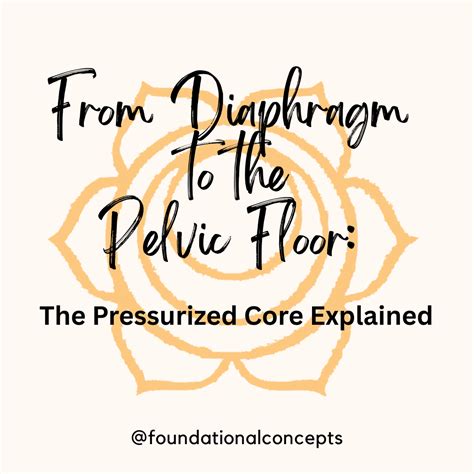 Top Diaphragm And Pelvic Floor For Home Style