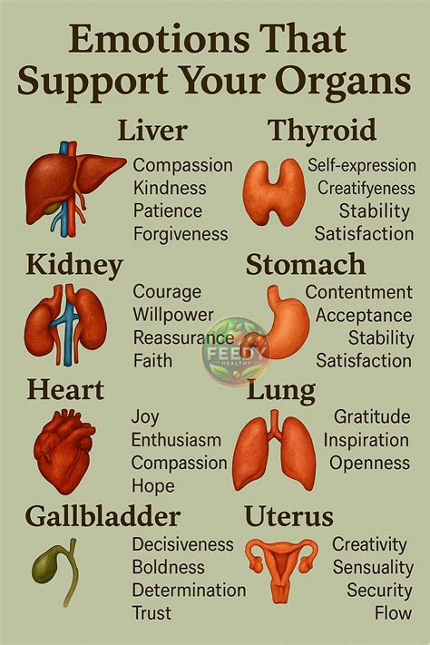 Feedy - In Traditional Chinese Medicine (TCM), specific emotions are ...
