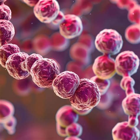 Streptococcus pyogenes: schwere Komplikationen durch Bakterientoxine ...