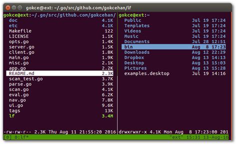 Image result for LF File Manager
