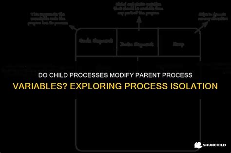 Sign of Parent Process 的图像结果