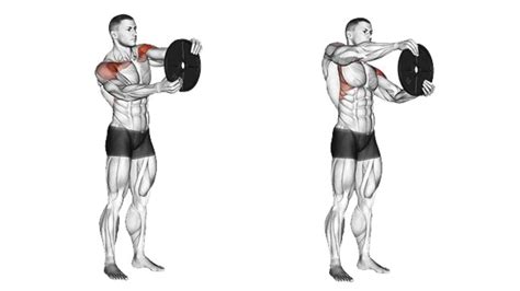 Front Shoulder Exercises