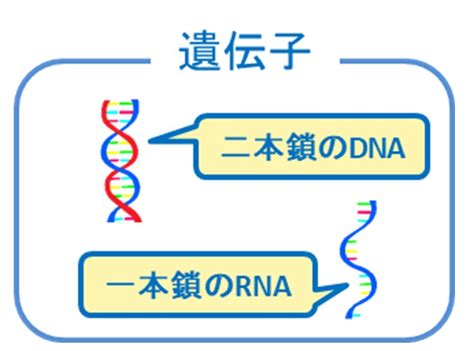 Image result for Non-Routine Testing