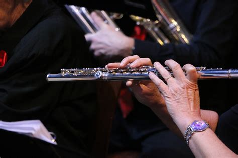 Image result for Orchestral Instruments