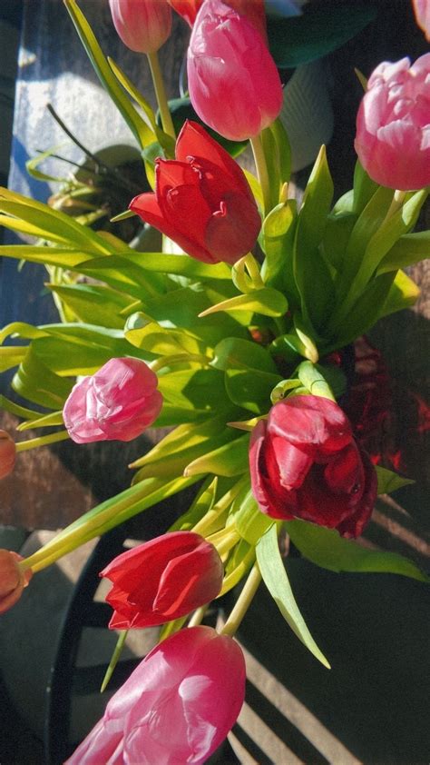 Gallery | carly-jane- | VSCO