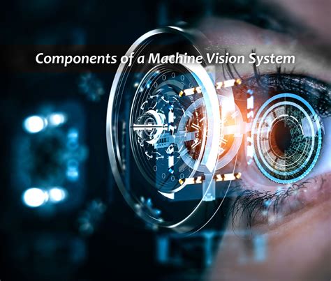 Ai Machine Vision Application Example 的图像结果