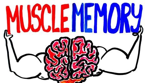 Image result for Muscle Memory Examples