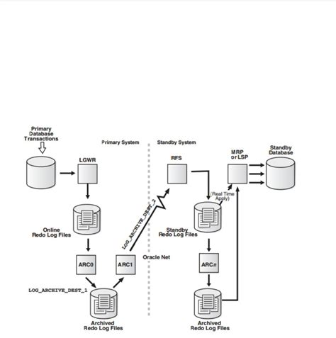 Orcale SQL Guilde 的图像结果