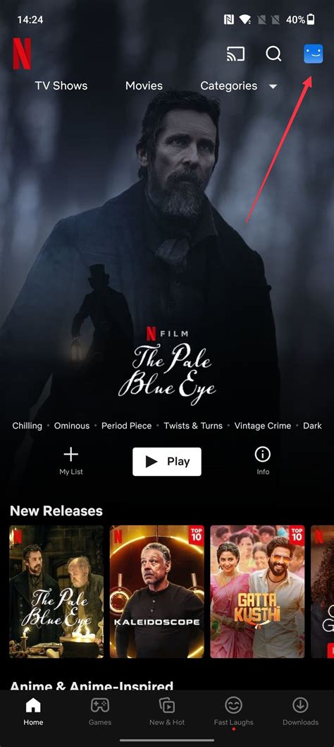 Access Netflix Downloads 的图像结果