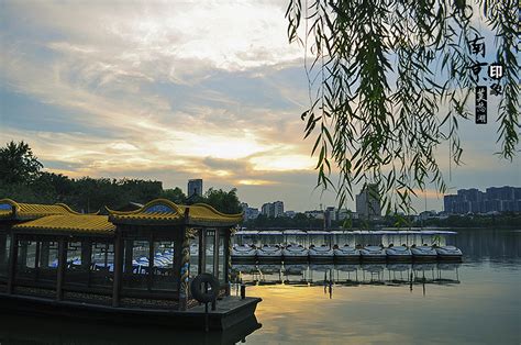 七月南京莫愁湖一偶|摄影|风光摄影|浮生似水 - 原创作品 - 站酷 (ZCOOL)