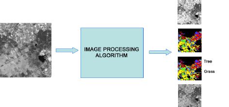 Visual Processing Algorithm 的图像结果