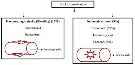 Image result for International Classification of Functioning Stroke