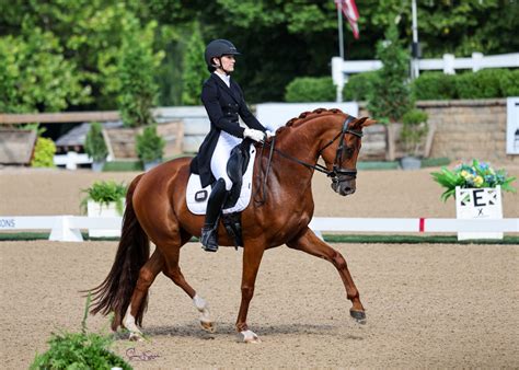 HITS Lamplight Equestrian Center - HITS Horse Shows