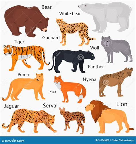 Wild Predators, Their Habitat, Growth, Weight And Longevity Color ...