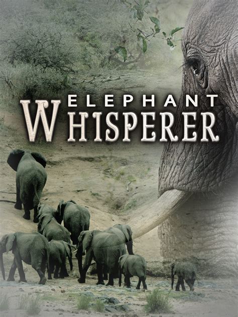Elephant Whisperer The Elephant Whisperer Review HubPages