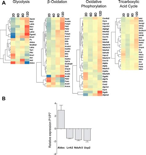 Image result for Gene Expression Map