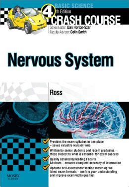 Image result for Crash Course Nervous System