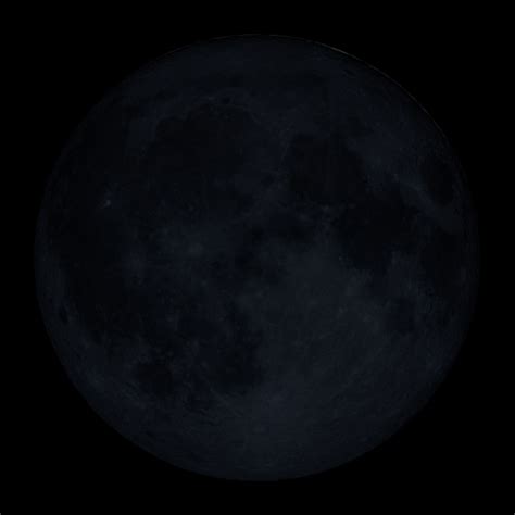 Lake Lanier Water Level, Weather & Fishing | Lake Insights