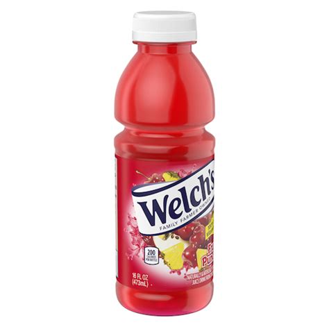 Welch's Fruit Punch, 16 Fluid Ounce, 12 Per Case