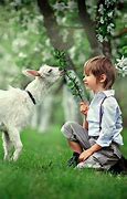 Image result for Cute Kids and Animals